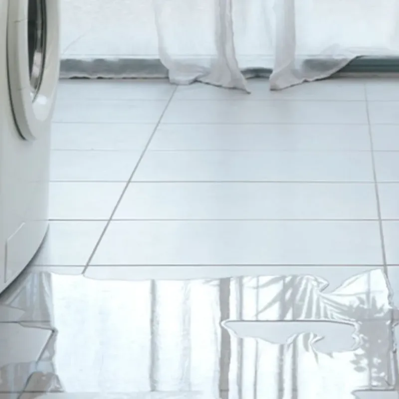 Appliance Leak Cleanup in Whiteside County, IL