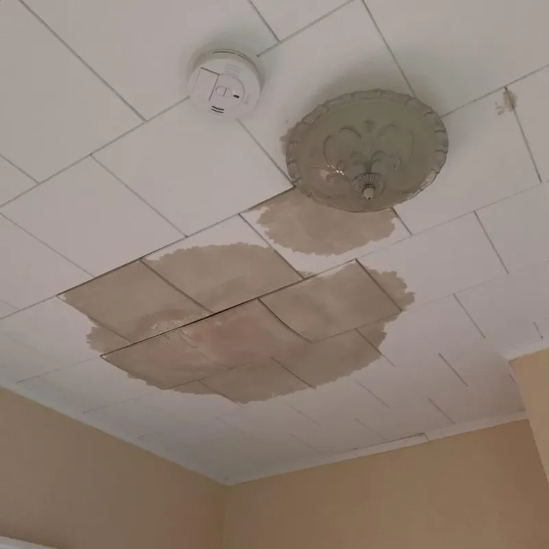 Ceiling Water Damage Repair in Whiteside County, IL