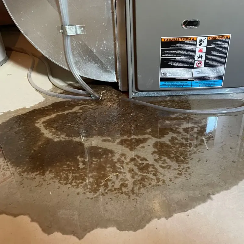 Pipe Burst and Leak Restoration in Whiteside County, IL